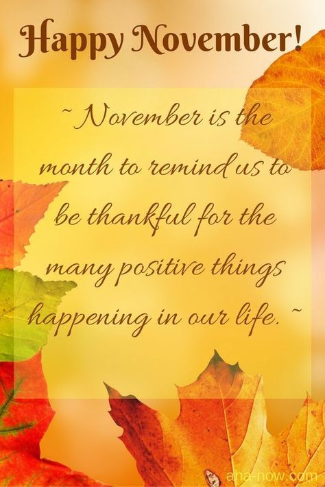 Thankful Happy November Quote Pictures, Photos, and Images for Facebook, Tumblr, Pinterest, and Twitter Happy New Month November, Happy New Month Quotes, November Images, New Month Quotes, Welcome November, November Quotes, Monthly Quotes, Thankful Quotes, Happy November