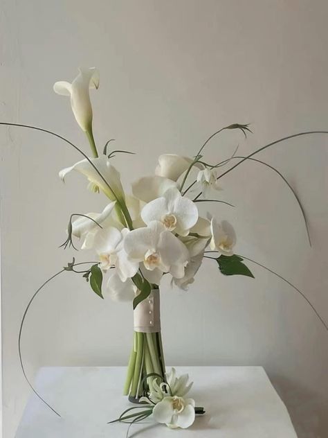 White Calla Lily Bouquet, Lily Centerpieces, Modern Bridal Bouquets, Lily Bridal Bouquet, Simple Wedding Bouquets, Tulip Wedding, Calla Lily Bouquet, Fresh Flower Bouquets, Bridal Bouquet Flowers