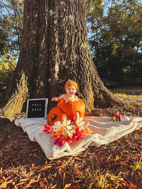 November Photoshoot Ideas Baby, Fall Photoshoot Baby, Baby Fall Photoshoot, Baby Pumpkin Pictures, Halloween Baby Pictures, Halloween Baby Photos, Fall Baby Photos, Pumpkin Photoshoot, Baby Halloween Pumpkin