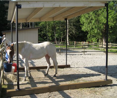 What is the best portable field shelter for horses and what are the pros and… Gazebo Horse Shelter, Portable Livestock Shelter, Portable Horse Shelter, Horse Shade Ideas, Cheap Horse Shelter Ideas Easy Diy, Simple Horse Shelter, Shade For Horses, Horse Shelter Ideas Cheap, Horse Yard