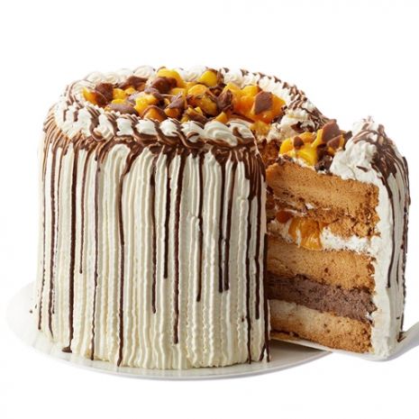 Mango Bravo Cake, Mango Graham Cake, Mango Bravo, Mango Graham, Graham Cake, Chocolate Roll Cake, Nursing Cake, Cake Stock, Chocolate Roll