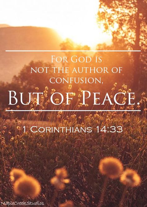 For God is not the author of confusion, but of peace. || Corinthians 14:33 || - Background image does not belong to me. - MapleCreekStudios Confusion Is Not From God, God Is Not A God Of Confusion, God Is Not The Author Of Confusion, Prayer Scriptures, Bible Prayers, Scripture Quotes, Verse Quotes, Bible Inspiration, Bible Verses Quotes