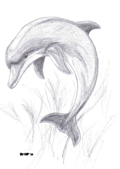 Dolphin Drawing, Easy Pencil Drawings, Pencil Drawings Of Animals, Animal Drawings Sketches, Siluete Umane, Cutest Animals, Sister Tattoos, Pencil Art Drawings, Art Drawings Sketches Creative