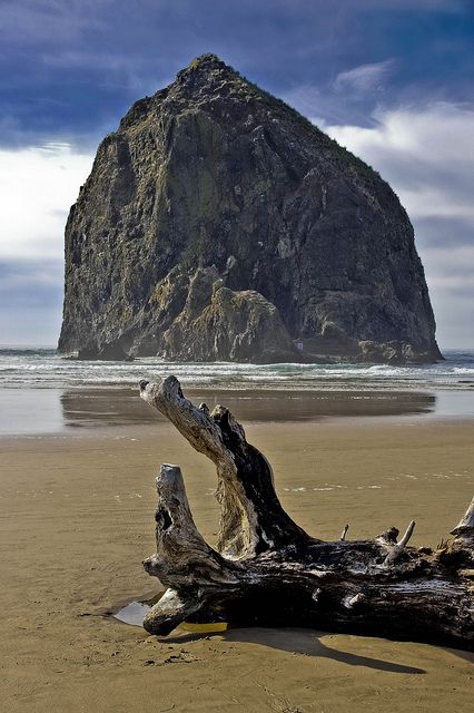 Haystack Rock, Oregon coast -- DSC2908    		The landmark rock that has help put Cannon Beach on Oregon's northern  coast on the map.   It is in Oregon's northern most coastal county  along coast route U.S. Highway 101. Haystack Rock Oregon, Canon Beach, Haystack Rock, Highway 101, Beautiful Oregon, Opening Scene, The Oregon Trail, Pacific City, State Of Oregon