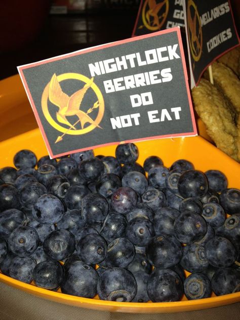 Hunger Games Party Decorations, Hunger Games Food, Nightlock Berries, Hunger Games Cake, Hunger Games Theme, Hunger Games Party, Hunger Games Movies, Book Theme, Game Snacks