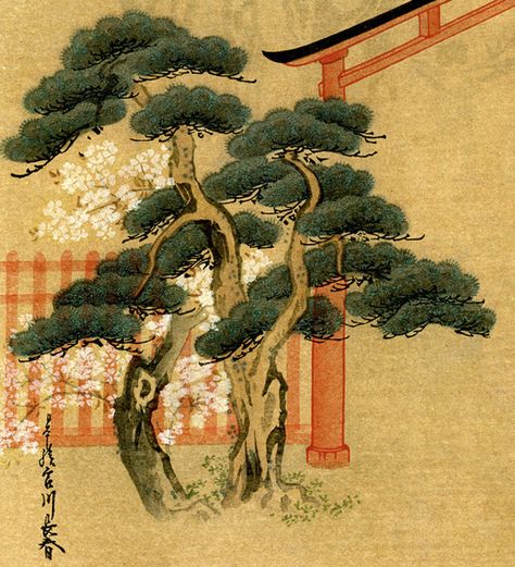 Japanese Trees Painting, Japanese Tree Illustration, Japanese Forest Art, Japanese Scroll Art, Ramen Animation, Japanese Tree Art, Bonsai Illustration, Bonsai Tattoo, Japanese Trees