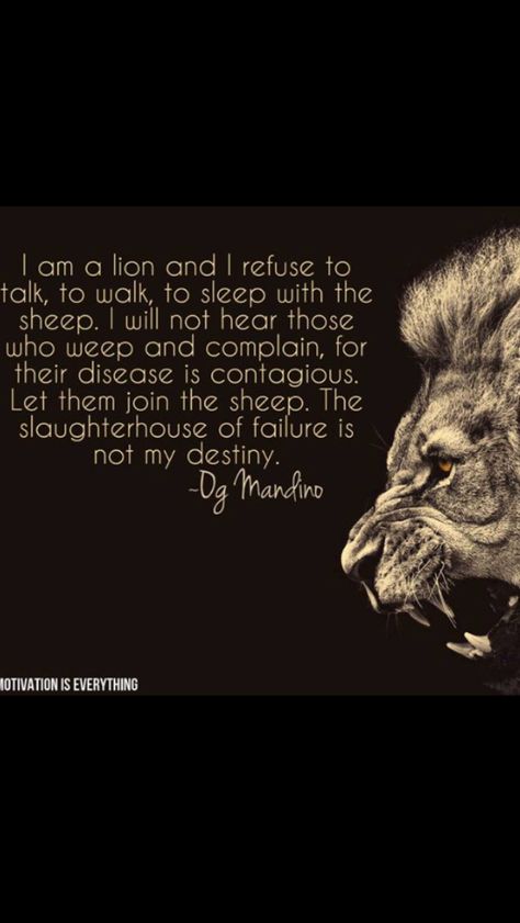 This lion doesn't lose sleep over the opinion of sheep. Don't doubt me or wish me to fail, I won't, I can't. The slaughterhouse of failure is not my destiny. - To all the lions and lionesses in the world log on to shangyco.com for your everyday active wear. Lions Dont Lose Sleep, Sheep Quote, Lion Quotes, Motivational Inspirational Quotes, Sleep Over, Quotes About Success, About Success, Quote Pins, Lion Of Judah