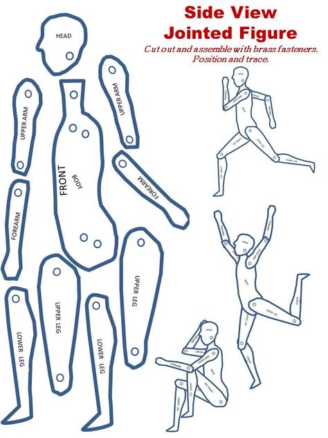 Positionable Figure for Drawing & Proportion - might be a good activity for kids to put together with a sub Figure For Drawing, For Drawing, Trin For Trin Tegning, Drawing Proportions, Classe D'art, Art Handouts, Paper Puppets, Draw People, Paper People