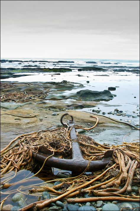 Anchor on the Beach on West Coast Trail, Vancouver Island, British Columbia by Joe McKenna West Coast Trail, Lighthouse Keeper, Sea Captain, Vancouver Island, Beach Scenes, Pics Art, Ocean Beach, Sea Life, British Columbia