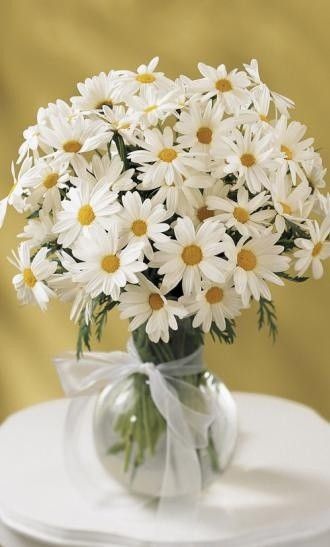 White Daisy Bouquet, Daisy Centerpieces, Sunflowers And Daisies, Daisy Wedding, Daisy Bouquet, Online Florist, Daisy Love, Country Weddings, Pink Wedding Flowers