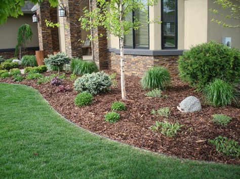 . Mulch Ideas, Garden Mulch, Mulch Landscaping, Grassy Meadow, Easy Plants, Diy Landscaping, Tall Plants, Garden Tips, Annual Plants