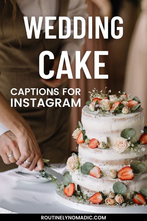 Tiered cake with wedding cake captions for Instagram Happily Ever After Aesthetic, Ever After Aesthetic, Wedding Cake Quotes, Cake Quotes Funny, Cake Captions, After Aesthetic, Funny Cat Pics, Witty Memes, Wedding Captions For Instagram