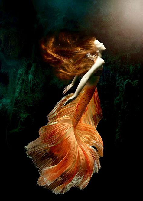 Titanic Underwater, Orange Mermaid, Mermaid Photography, Photography Water, Mermaid Artwork, Fantasy Ideas, Fantasy Mermaids, Underwater Art, Mermaid Drawings