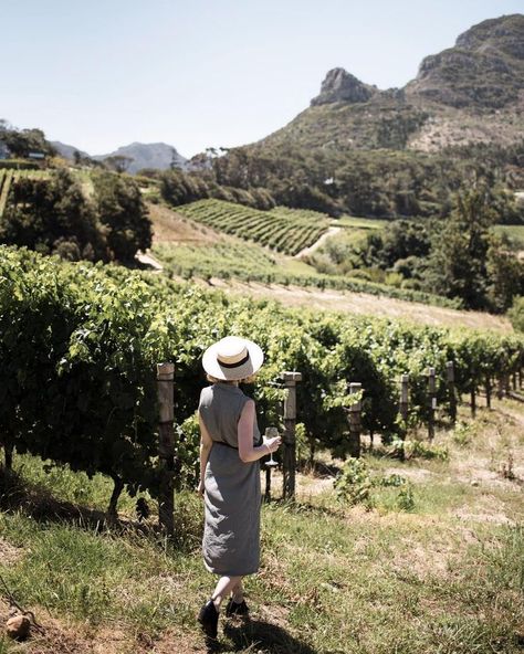 Taste Your Way Through South Africa at These 10 Wineries | Babylonstoren | Franschhoek | Cape Winelands | Winelands | Wineries | Winemaking | Wines To Try #babylonstoren #capewinelands #franschhoek #wineries #winetasting #winepairing #paarl #stellenbosch #winestotry #southafrica Winery Aesthetics, Winery Photography, Japan Beach, Japan Tourist, Wine Tourism, Wine Tasting Experience, Travel Japan, Wine Travel, Unique Venues