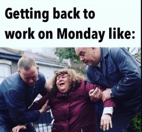 Good Morning Monday Funny Meme, Week Off Work Quotes Funny, Funny Monday Work Humor, Monday Humor Back To Work, Tomorrow Is Monday Humor, Back To Work Humor, Back To Work Humour, Monday Positivity, Funny Monday Memes