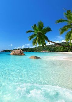 Seychelles Vacation, Family Photo Outfits Summer, Tropical Beaches, Family Photo Outfits, Crystal Blue, Vacation Places, Alam Semula Jadi, Africa Travel, Tropical Islands