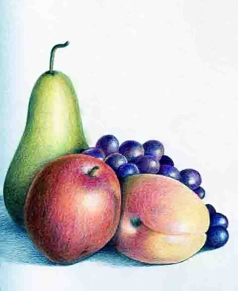 Fruits Still Life Drawing, Still Life Fruit Drawing Colour, Pencil Color Still Life Drawing, Fruits For Drawing, Still Life Of Fruits, Colour Pencil Still Life Drawings, Still Life Drawing Colour Easy, Still Life Pencil Shading Fruits, Still Life Drawing Fruit