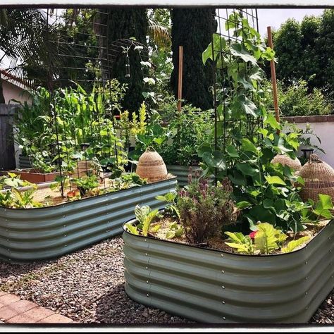 Modular Raised Garden Beds, Metal Garden Beds, Raised Garden Bed Kits, Metal Raised Garden Beds, Areas Verdes, Raised Planter, Types Of Vegetables, Garden Equipment, Raised Bed