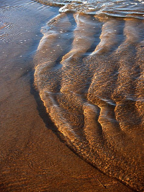 Earth Tone Aesthetic, Brown Beach, Color Vibe, Photographie Inspo, Brown Eyed Girls, Brown Walls, Brown Wallpaper, Images Esthétiques, Beige Aesthetic