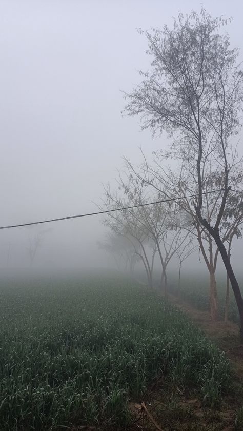 #Village #FoggyDay #Punjab #Winter #GreenFields #Morning Winter Foggy Morning Snap, Village Vibes Snap, Village Morning Snap, Village Morning Photography, Fog Snapchat Story, Winter Morning Snap, Morning Winter Aesthetic, Winter Village Aesthetic, Punjab Village Photography