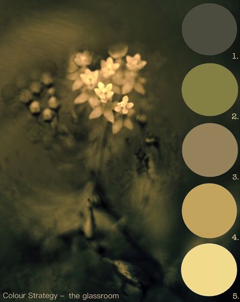 Sepia Colour Palette, Unsettling Color Palette, Poison Color Palette, Ghost Color Palette, Muted Colors Aesthetic, Sepia Color Palette, Goth Color Palette, Flower Colour Palette, Urinetown Costumes