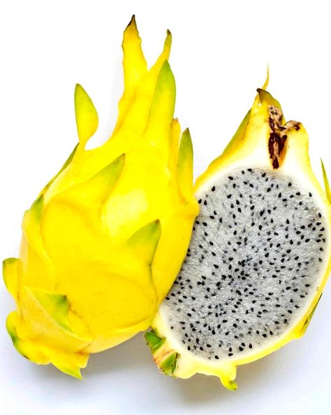 Dragon Fruit Extract is not only known for its anti-aging properties but also for its antioxidant, wound healing, firming, soothing, and moisturizing effects. This ingredient has been proven to enhance the overall health and appearance of the skin. Dragon fruit is rich in antioxidants, this fruits help fight free radicals and slow down the aging process. This means that by incorporating dragon fruit extract in your haircare and skincare formulation(s), you can achieve younger-looking, smoother skin well as strengthening hair strands. Whether you're looking to improve your skin's appearance or simply boost your overall health, dragon fruits are a fantastic addition to any wellness routine. But it is also a powerhouse of nutrients that can improve the health of your hair. It is high in Vitam Skincare Formulation, Dragon Fruits, Strengthening Hair, Hair Strands, Wellness Routine, Wound Healing, Smoother Skin, Promotes Hair Growth, Aging Process