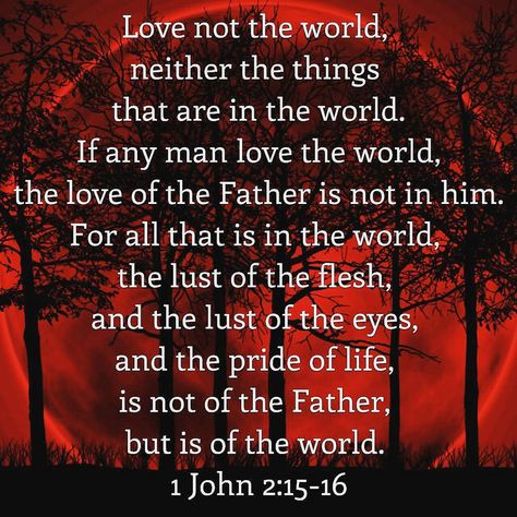 1 John 2 15, Rivers Of Living Water, 1 John 2, Love The World, I Love The Lord, Encouraging Scripture, Bible Facts, The Flesh, Inspirational Prayers