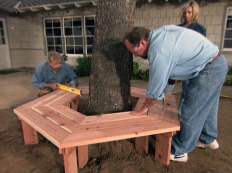 Wood Bench Around Tree, How To Build A Bench Around A Tree, Bench Wrapped Around Tree, Hexagon Tree Bench, Bench Seat Around Tree, Around The Tree Bench, Bench Around Tree Trunk, Diy Tree Bench Wrap Around, Wrap Around Tree Bench