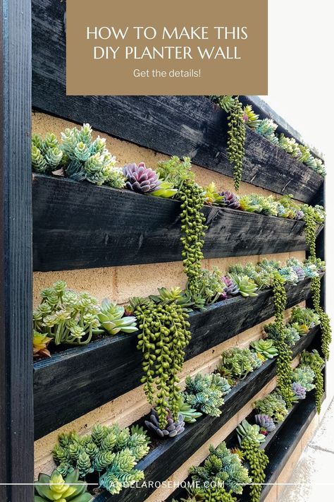 Want to update your outdoor space? Learn how to make this giant DIY planter wall! Black Garden Fence, Plant Wall Diy, Wall Planters Outdoor, Succulent Wall Garden, Diy Wall Planter, Succulent Wall Planter, Hanging Wall Planters, Planter Wall, Diy Planter