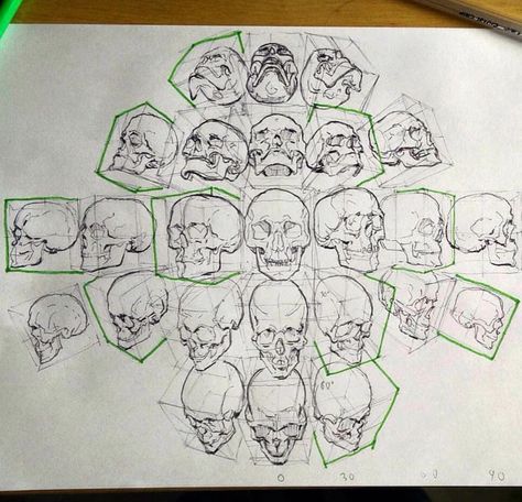 Skull Anatomy, Skull Reference, Výtvarné Reference, Human Anatomy Drawing, Skulls Drawing, Human Anatomy Art, Drawing Studies, Perspective Art, Drawing Faces