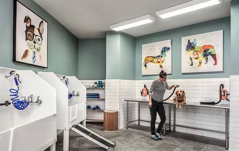 APARTMENT PET SPA - Ecosia - Images Dog Salon Interior Design, Dog Grooming Interior Design, Dog Hotel Design, Dog Salon Ideas Interior Design, Pet Grooming Salon Ideas Design, Kennel Room, Vet Design, Dog Daycare Design, Dog Grooming Salon Decor