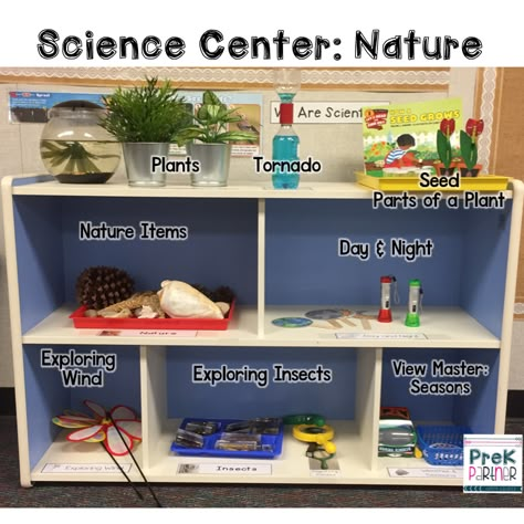 Science Center: Nature Science Discovery Center Kindergarten, Reggio Inspired Science Center, Preschool Wow Experiences, Science Area For Preschool, Science Discovery Center, Science Centre For Preschool, Science And Nature Center Preschool, Ecers 3 Science Center, Science Area Ideas For Preschool