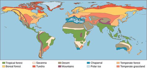 Biomes of the World Desert Biome, Lego Coloring Pages, Map Symbols, Arctic Tundra, Deserts Of The World, Boreal Forest, Khan Academy, Biome, Study Guides