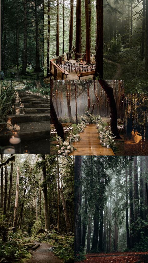 Enchanted Forest Wedding Theme, Outdoor Wedding Decor, Twilight Wedding, Dark Wedding Theme, Via Appia, Forest Theme Wedding, Enchanted Forest Wedding, Dream Wedding Decorations, Wedding Decor Ideas