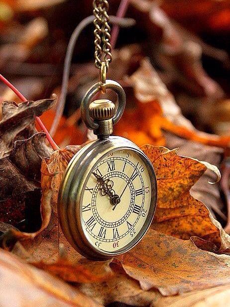 . Old Pocket Watches, Raindrops And Roses, Antique Pocket Watch, Clock Wallpaper, Old Clocks, Clock Art, Time Clock, Autumn Beauty, Beautiful Wallpapers