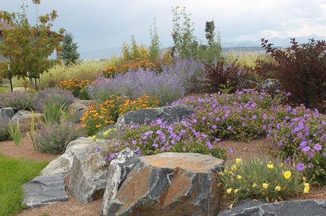 Xeriscape Boulders Boulder J&S Landscape Longmont, CO Colorado Landscaping, Xeriscape Front Yard, Xeriscape Landscaping, Succulent Landscape Design, Landscaping With Boulders, Drought Tolerant Landscape, Succulent Landscaping, Casa Exterior, Landscaping Tips