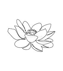 Water Lily Line Drawing, Waterlily Drawing, Water Lily Illustration, Water Lily Drawing, Water Lily Tattoos, Lilies Drawing, One Line Tattoo, Lily Tattoo, One Line Art