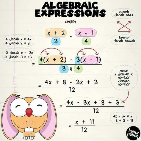 Maths Algebra Formulas, Simplifying Algebraic Expressions, Math Answers, Math Genius, Learning Mathematics, Math Interactive, Algebraic Expressions, Maths Algebra, Math Interactive Notebook