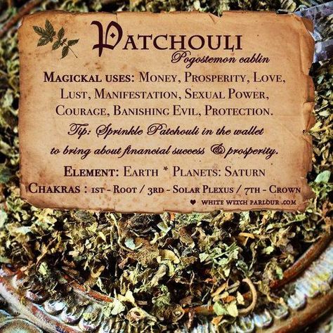 Herbs For Money, Witchy Herbs, Herb Magic, Manifestation Spells, Magickal Herbs, Witch Herbs, Green Witchcraft, Magia Das Ervas, Magic Herbs