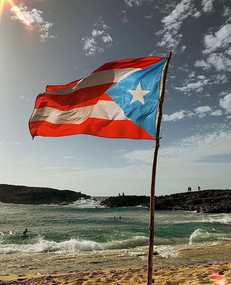 Adventure Puerto Rico🇵🇷 on Instagram: “🙌🌊🇵🇷¿Del 1 al 10 que tan boricua eres? 📸Foto por: (@luigui25) 👤Instagram: @adventure_puertorico . . . . . #puertorico #pr #boricua…” Puerto Rican Flag, Puerto Rican Culture, Puerto Rican Pride, Flag Wallpaper, Puerto Rico Flag, Tropical Rainforest, Beach Bars, Puerto Rican, Caribbean Islands