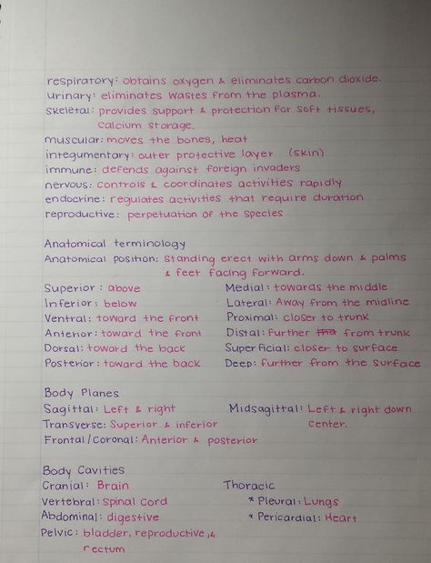 The girls at work seem to get a kick out of my handwriting. Here are some of my school notes. - Imgur: Handwriting Ideas, Medical Notes, Pretty Handwriting, Neat Handwriting, Inspirerende Ord, College Notes, Nursing School Studying, Medical School Studying, Nursing School Notes