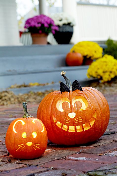 Small Pumpkin Carving Ideas, Pumpkin Cravings, Gingerbread Ideas, Cute Pumpkin Carving, Kostuum Halloween, Pumkin Carving, Halloween Pumpkin Carving Stencils, Halloween Decor Diy, Pumpkin Carving Party