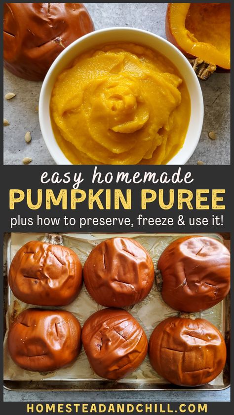 How To Make Pumpkin Puree From Fresh Pumpkin, Making Your Own Pumpkin Puree, How To Get Pumpkin Puree From A Pumpkin, How To Make Homemade Pumpkin Puree, How To Make Your Own Pumpkin Puree, Bake A Pumpkin For Puree, Freezer Pumpkin Pie Filling, Diy Canned Pumpkin Puree, How To Make Pumpkin Puree From Pumpkins