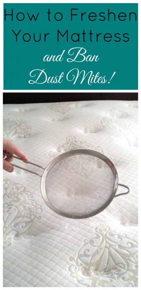 How to Freshen Your Mattress and Ban Dust Mites! Your bed deserves this easy cleaning tip, and so do you! Freshen Mattress, Daily Cleaning Routine, Clean Bed, Cleaning Painted Walls, Routine Tips, Mattress Cleaning, Deep Cleaning Tips, Daily Cleaning, Dust Mites