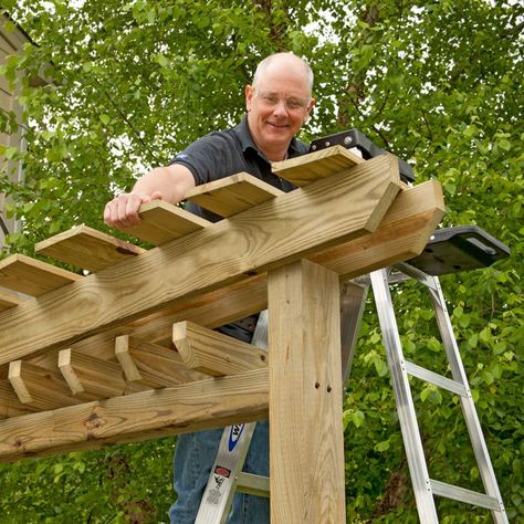 Garden Gate with Arbor and Fence Pergola Trellis, Diy Gate, Trellis Garden, Garden Gates And Fencing, Wood Arbor, Garden Gate Design, Small Pergola, Arbors Trellis, Fence Garden