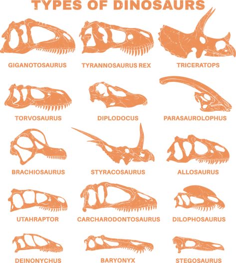 Tyrannosaurus Rex Paleoart, Scientifically Accurate Dinosaurs, Stegasorus Dinosaur, Paleoart Dinosaurs, Accurate Dinosaurs, Dino Fossils, Dinosaur Information, Types Of Dinosaurs, Jurassic World Wallpaper