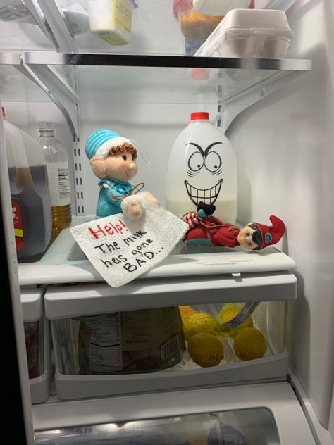 Milk Gone Bad Elf, Elf On The Shelf Fridge, Bad Elf, Elf Activities, Tis The Season, Elf On The Shelf, Elf, Milk, Shelves