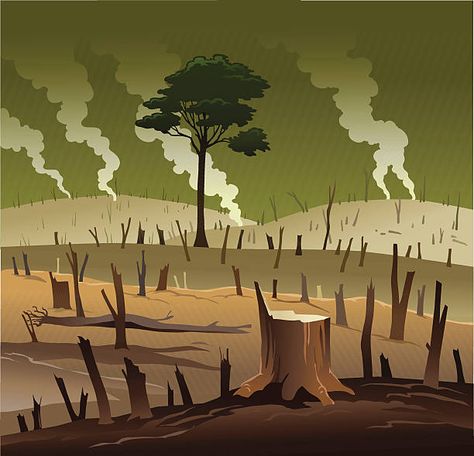 Deforestation Illustration, Deforestation Drawing, Deforestation Poster, World Environment Day Posters, Earth Drawings, Forest Drawing, Sistem Solar, Desain Signage, World Environment Day