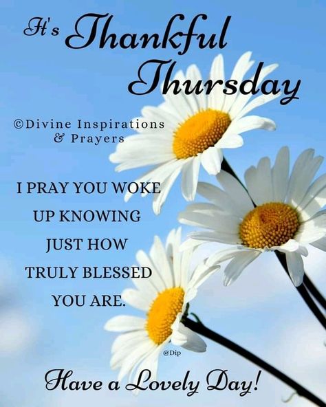 Thankful Thursday Quotes Inspiration, Thankful Thursday Quotes, Happy Thankful Thursday, Thursday Wishes, Divine Inspiration And Prayers, Thursday Morning Quotes, Thursday Prayer, Good Morning Happy Thursday, Blessed Wednesday