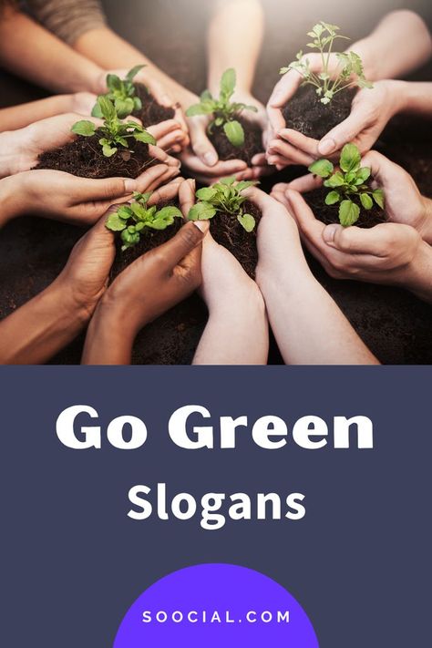 Slogans On Nature, Go Green Slogans, Tree Slogan, Save Environment, Save Our Planet, Catchy Slogans, Green School, Our Planet Earth, Green Environment